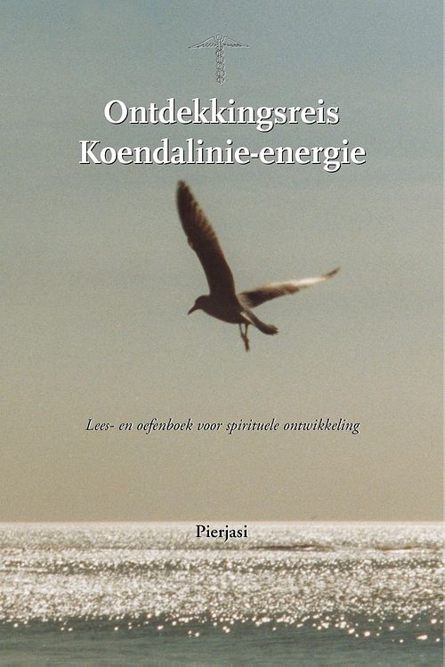 Foto van Ontdekkingsreis koendalinie-energie - pierjasi - ebook