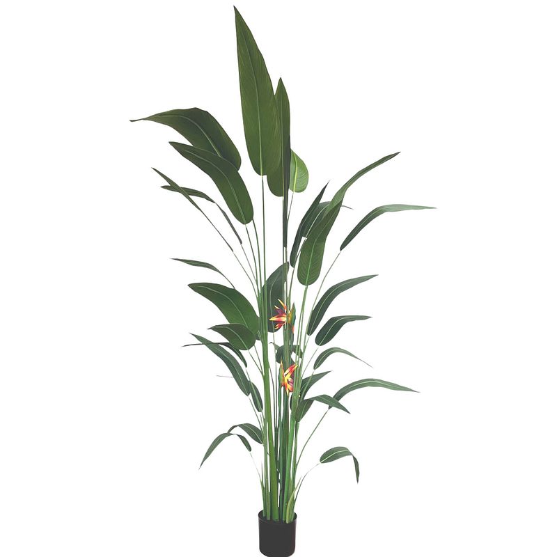 Foto van Strelitzia kunstplant met bloem 210cm