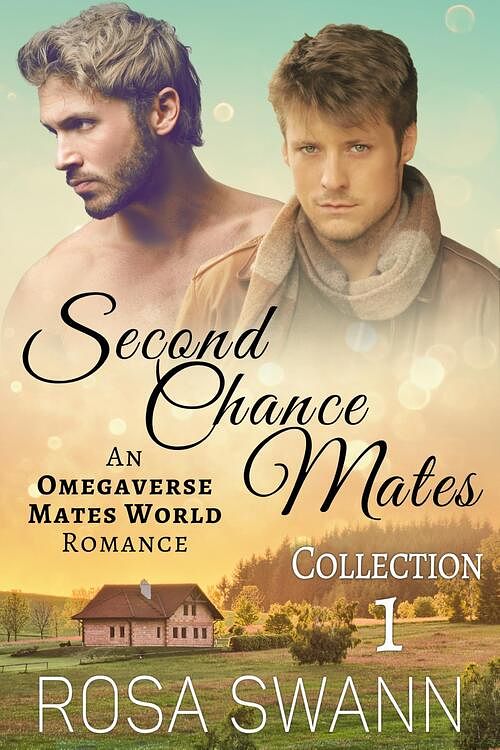 Foto van Second chance mates collection 1 - rosa swann - ebook (9789493139480)