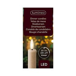 Foto van Lumineo - led dinerkaars d2h24 cm lgrs/wwt 2st ii kerst