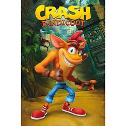 Foto van Abystyle crash bandicoot classic crash poster 61x91,5cm