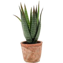 Foto van Aloe vera kunstplant in terracotta pot 23 cm - kunstplanten