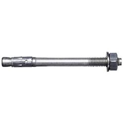 Foto van Fischer faz ii 12/60 a4 boutanker 160 mm 12 mm 501420 20 stuk(s)