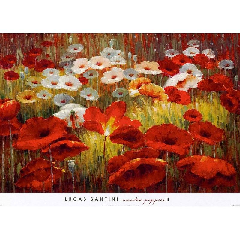 Foto van Lucas santini - meadow poppies ii kunstdruk 91x66cm