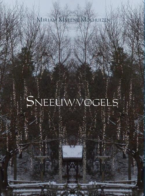 Foto van Sneeuwvogels - miriam mylene molhuizen - ebook (9789402126938)