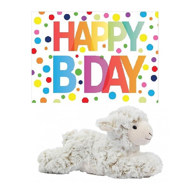 Foto van Pluche knuffel lammetje/schaap 22 cm met a5-size happy birthday wenskaart - knuffel boederijdieren