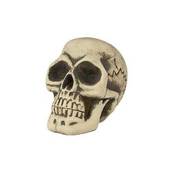 Foto van Halloween horror decoratie schedel 29 cm - feestdecoratievoorwerp