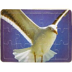 Foto van Lg-imports puzzel meeuw junior 12 x 9 cm karton 15-delig