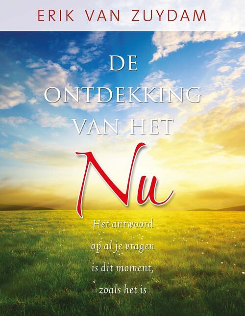 Foto van De ontdekking van het nu - erik van zuydam - ebook (9789020299458)