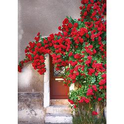 Foto van Tuinschilderij door with red flowers 70x130cm