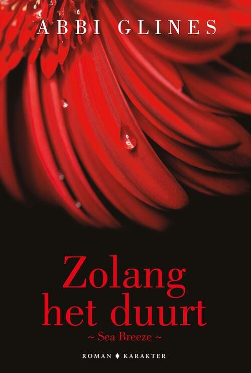 Foto van Zolang het duurt - abbi glines - ebook (9789045213354)