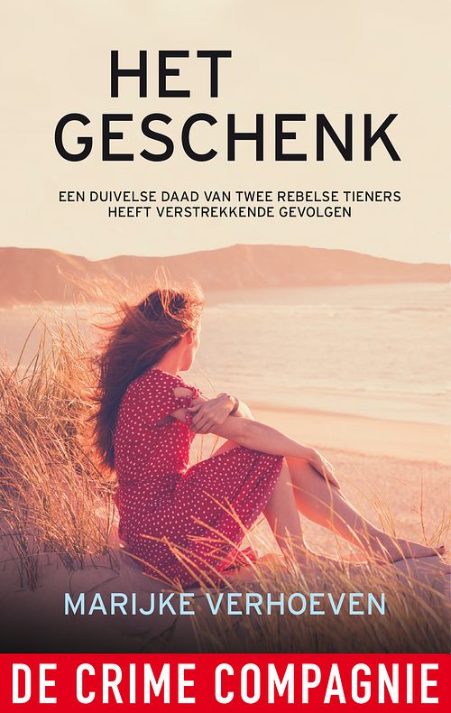 Foto van Het geschenk - marijke verhoeven - ebook (9789461093646)