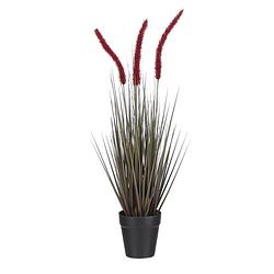 Foto van Mica decorations kunstbloem dogtail 53 cm rood/groen