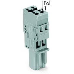 Foto van Wago 769-104/000-006 connector, female 50 stuk(s)