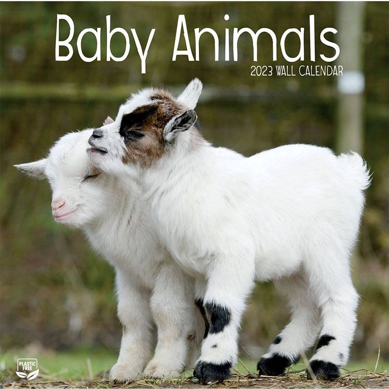 Foto van Baby animals kalender 2023 tl turner