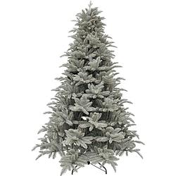 Foto van Christmas house - hallarin kerstboom zilver grijs i