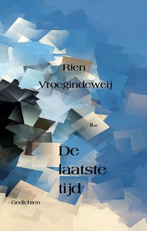 Foto van De laatste tijd - rien vroegindeweij - paperback (9789492519641)