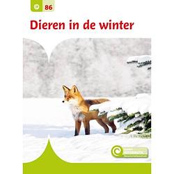 Foto van Dieren in de winter - junior informatie