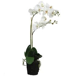 Foto van Witte orchidee kunstplanten/planten in pot 62 cm - kunstplanten