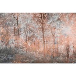 Foto van Dimex colorful forest abstract fotobehang 375x250cm 5-banen