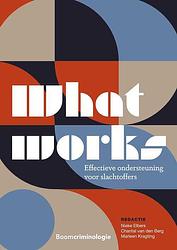 Foto van What works: effectieve ondersteuning voor slachtoffers - - ebook