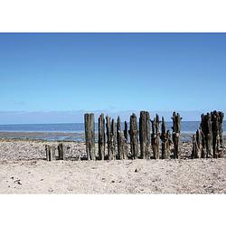 Foto van Tuinschilderij beach / wooden poles 70x130cm