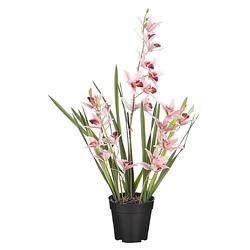 Foto van Mica decorations orchidee bloem kunstplant - perzik roze - h66 x b34 cm - kunstplanten