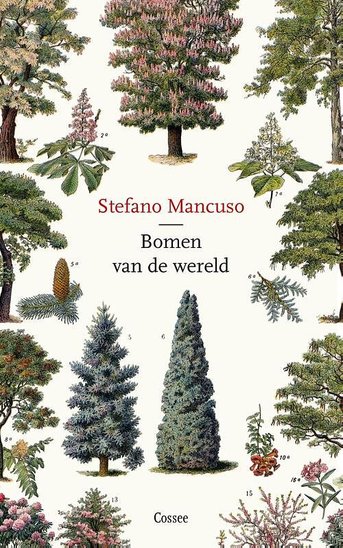 Foto van Bomen van de wereld - stefano mancuso - ebook (9789464520040)