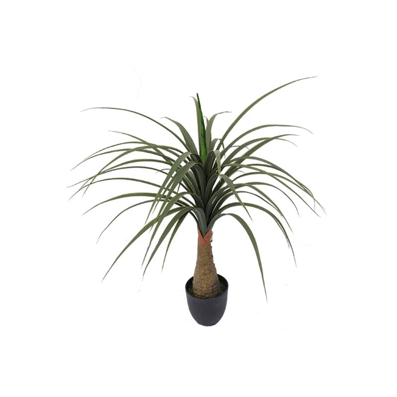 Foto van Dracaena kunstplant 70cm