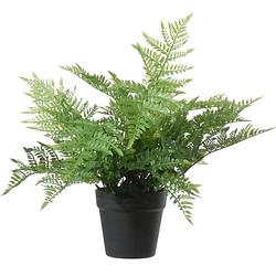 Foto van Groene bosvaren kunstplant in zwarte kunststof pot 43 cm - dryopteris remota - woondecoratie