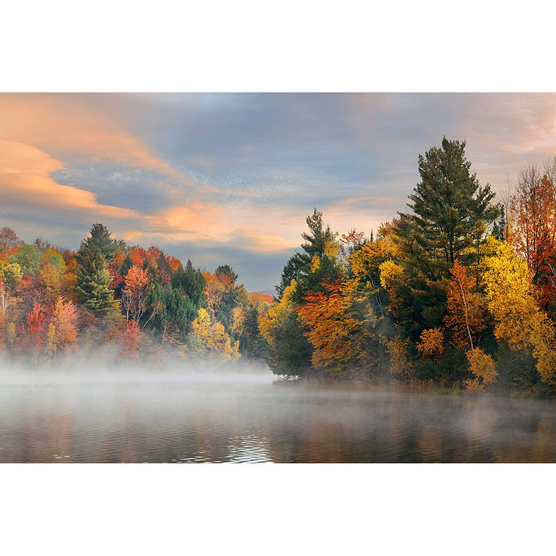 Foto van Inductiebeschermer - foggy lake - 65x55 cm