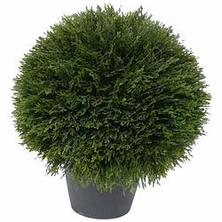 Foto van Kunstplant luxe cypress bol in pot 38 cm - kunstplanten