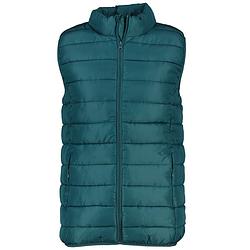 Foto van Heren bodywarmer mouwloos