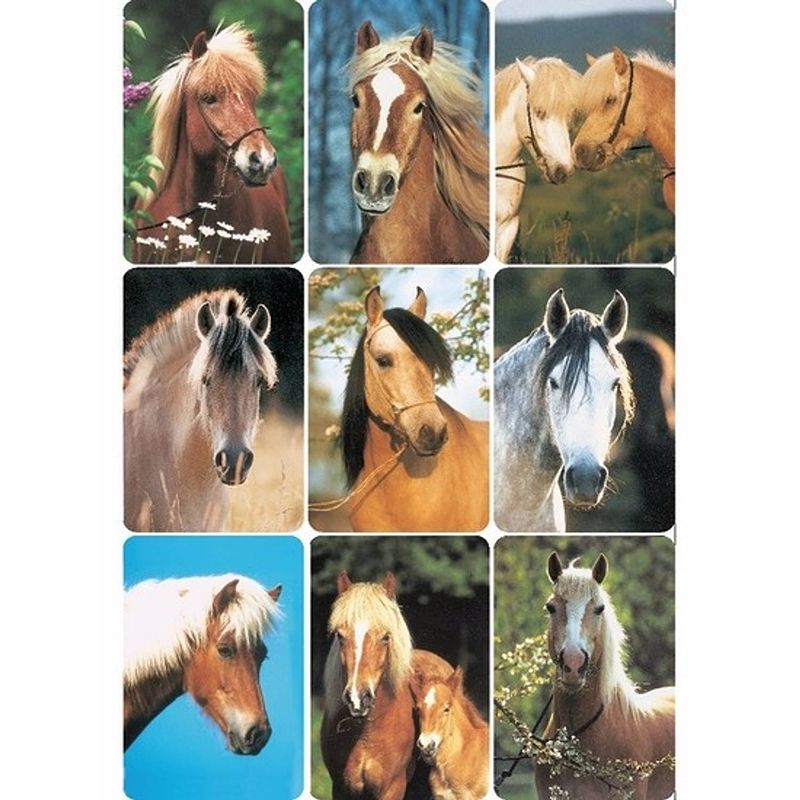 Foto van Paardenhoofden stickers 3 vellen - stickers