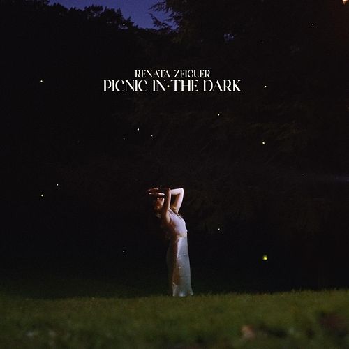 Foto van Picnic in the dark - cd (0309272738964)