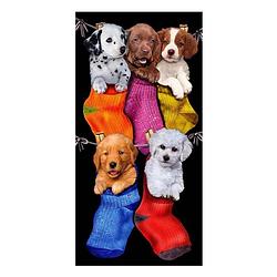 Foto van The beachtowel puppies in socks strandlaken - 100% katoen velours - 75x150 cm - multi