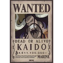 Foto van Abystyle one piece wanted kaido poster 35x52cm