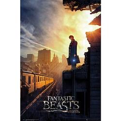 Foto van Gbeye fantastic beasts one sheet 2 poster 61x91,5cm