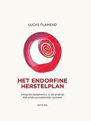 Foto van Het endorfine herstelplan - lucas flamend - hardcover (9789082922134)
