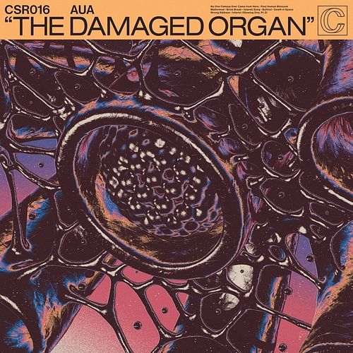 Foto van The damaged organ - lp (4250137258997)