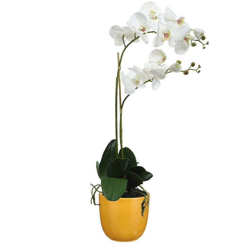 Foto van Orchidee kunstplant wit - 62 cm - inclusief bloempot okergeel glans - kunstplanten