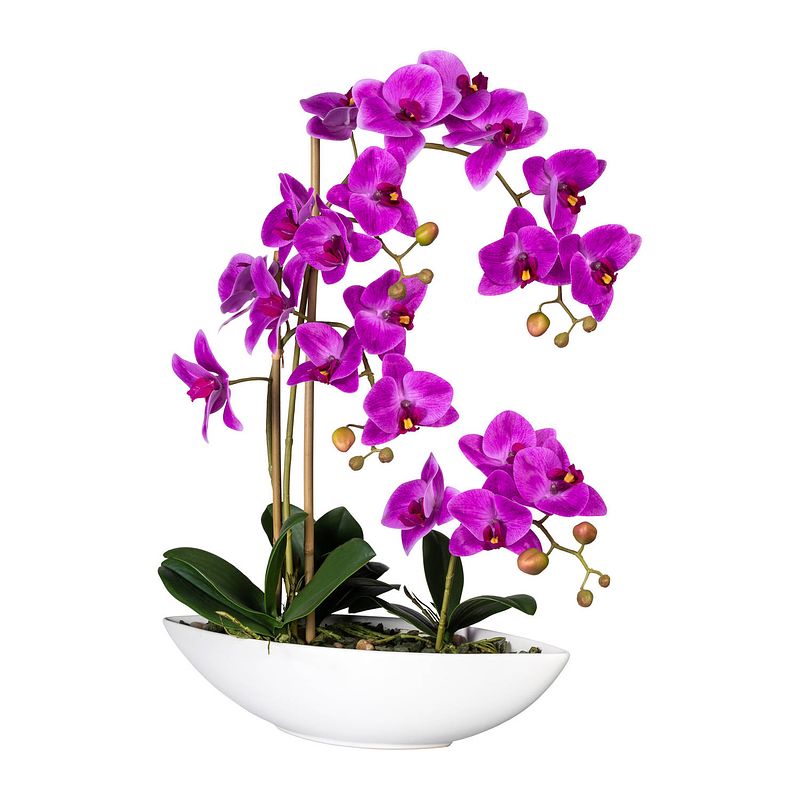 Foto van Kopu® kunstbloem orchidee 60 cm roze met schaal ovaal - phalaenopsis