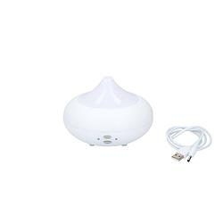 Foto van Aromadiffuser - vernevelaar en sfeerlamp - 360° - ultrasoon - kleur veranderend