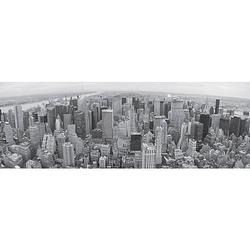 Foto van Shutterstock - manhatten panorama kunstdruk 95x33cm