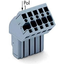 Foto van Wago 769-109/022-000 connector, female 25 stuk(s)