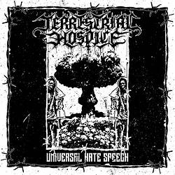 Foto van Universal hate speech - 12 inch vinyl;12 inch vinyl (7350057883785)