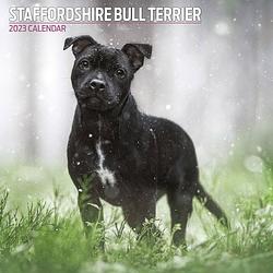 Foto van Staffordshire bull terrier kalender 2023