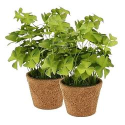 Foto van 2x kunstplant klavertje groen in pot 25 cm - kunstplanten