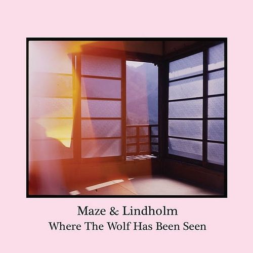 Foto van Where the wolf has been seen - lp (0606314936525)