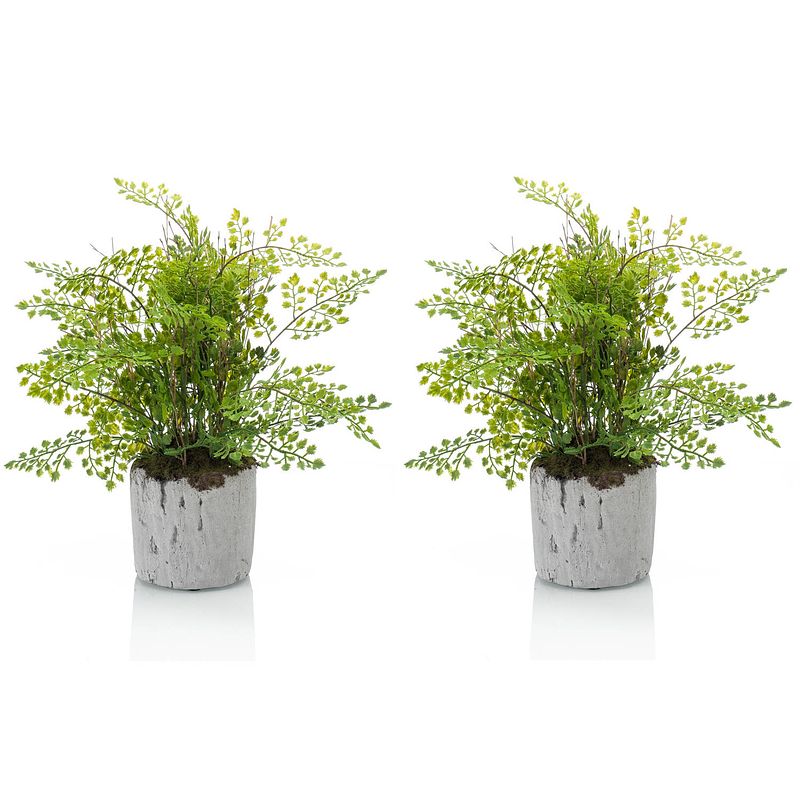 Foto van Set van 2x stuks groene kunstplanten varen 30 cm - kunstplanten